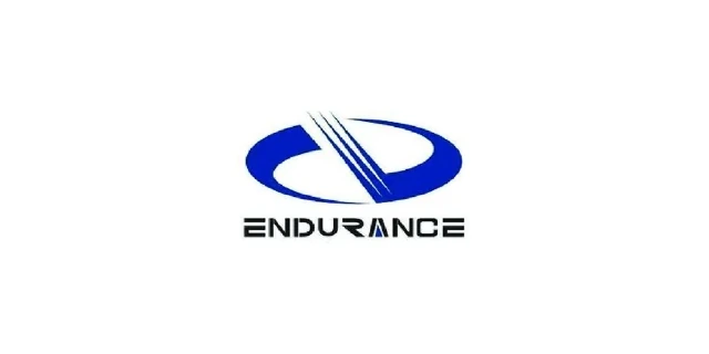 Endurance logo
